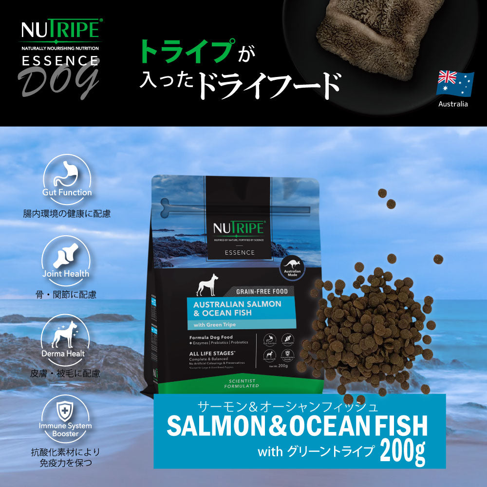 ニュートライプ GFドライ ドッグ サーモン&フィッシュ with グリーントライプ 200g×6袋【送料無料】 グレインフリー 穀物不使用 犬 ドッグフード 無添加