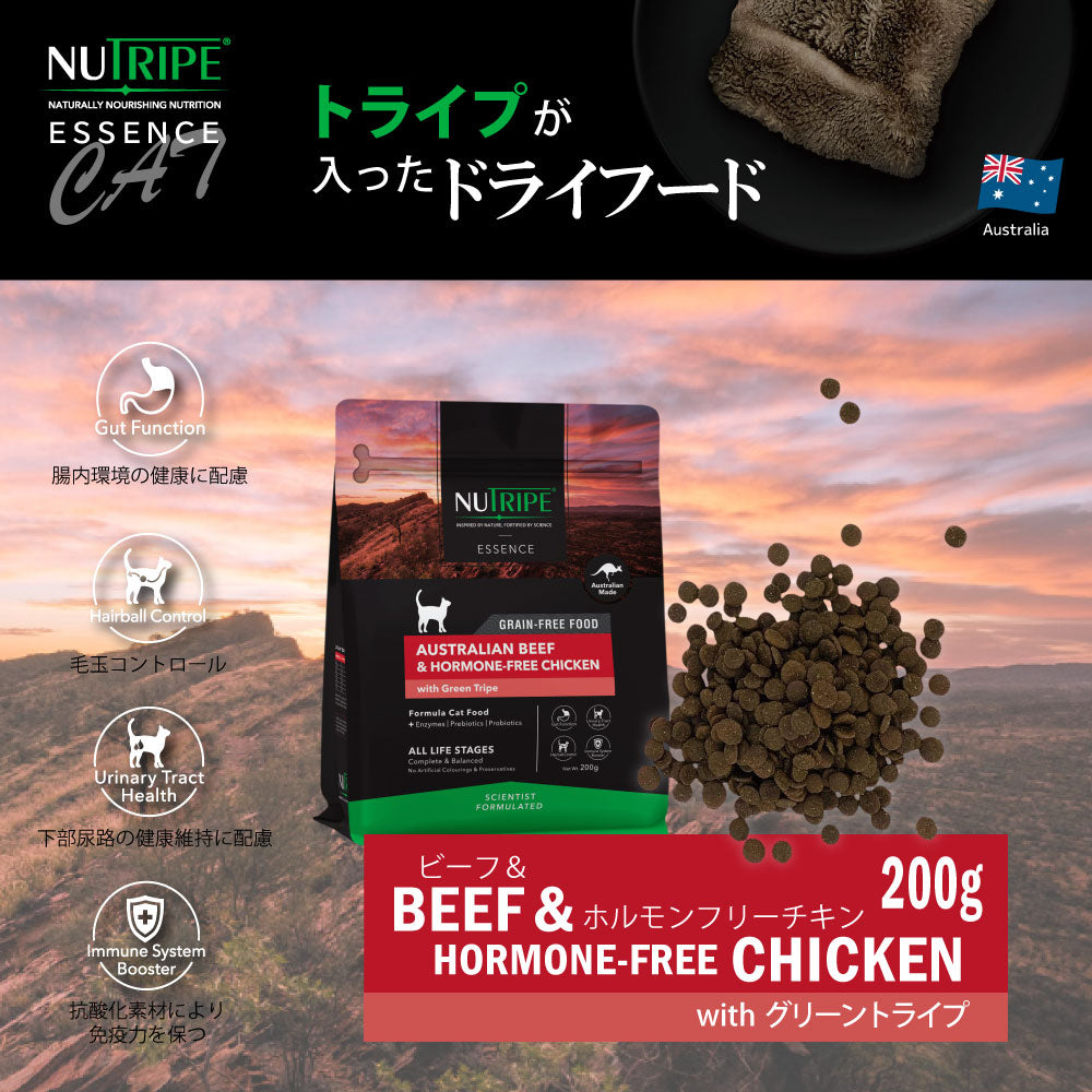 ニュートライプ GFドライ キャット ビーフ&チキン with グリーントライプ 200g×6袋【送料無料】 グレインフリー 穀物不使用 犬 ドッグフード 無添加