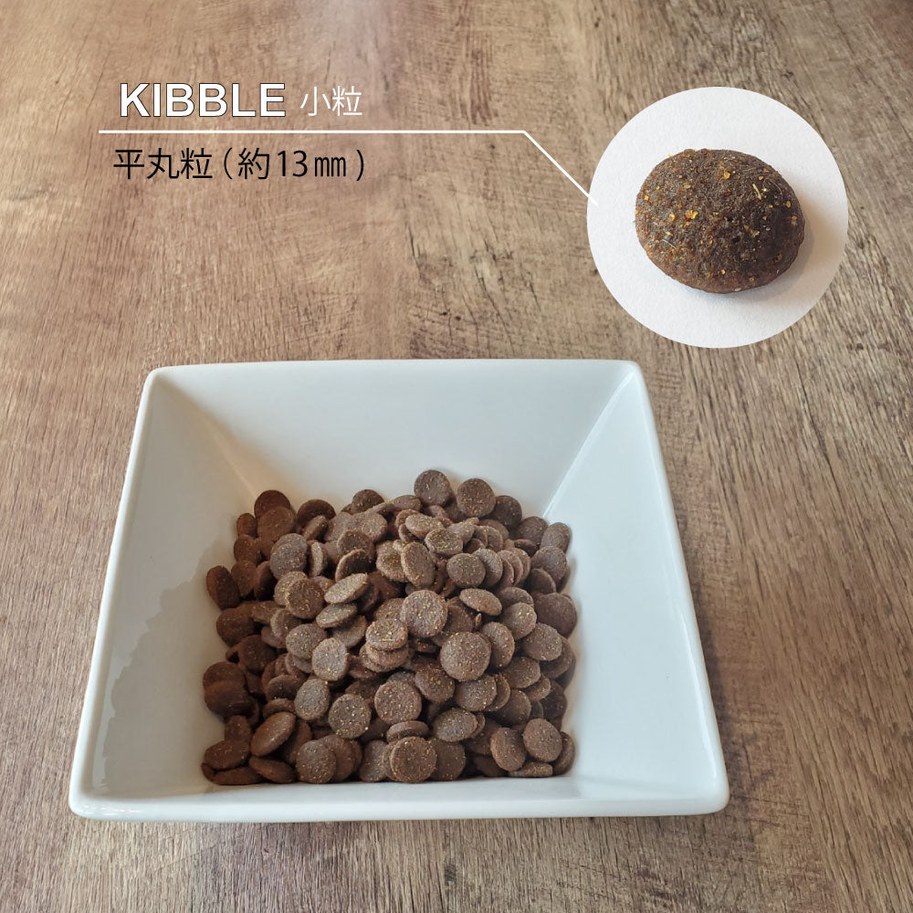 ニュートライプ GFドライ キャット サーモン&チキン with グリーントライプ 200g×12袋【送料無料】 グレインフリー 穀物不使用 犬 ドッグフード 無添加