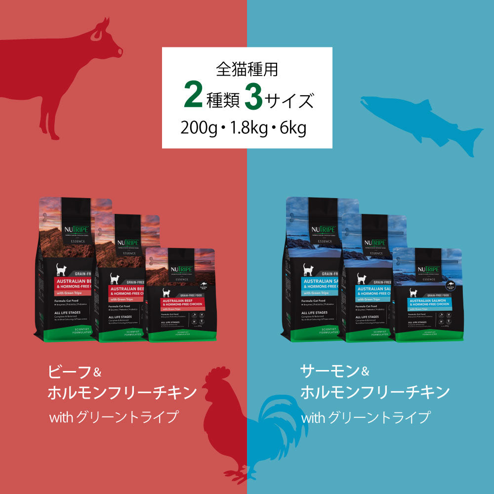 ニュートライプ GFドライ キャット サーモン&チキン with グリーントライプ 200g×12袋【送料無料】 グレインフリー 穀物不使用 犬 ドッグフード 無添加