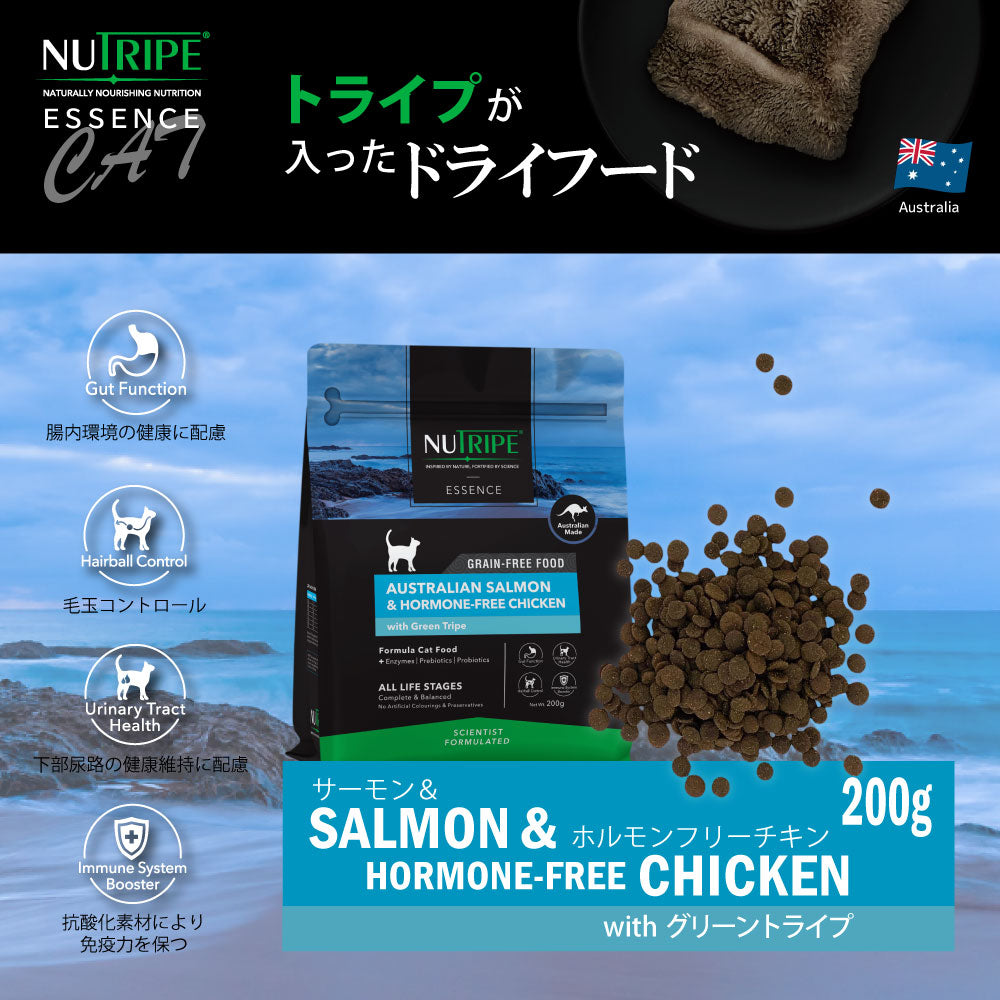 ニュートライプ GFドライ キャット サーモン&チキン with グリーントライプ 200g×12袋【送料無料】 グレインフリー 穀物不使用 犬 ドッグフード 無添加