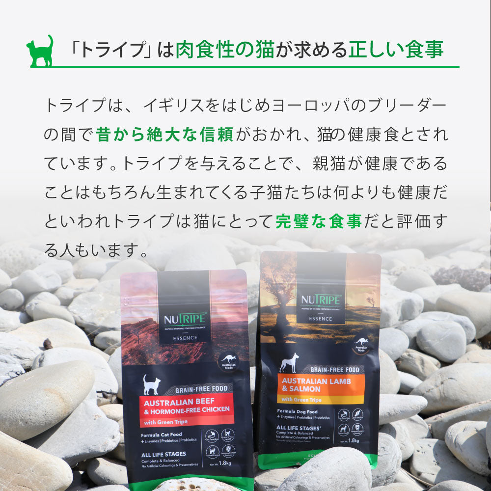 ニュートライプ GFドライ キャット サーモン&チキン with グリーントライプ 200g×12袋【送料無料】 グレインフリー 穀物不使用 犬 ドッグフード 無添加