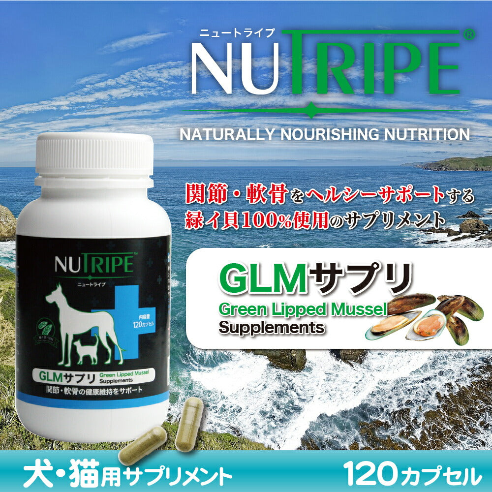 ニュートライプ GLMサプリ 120カプセルサプリメント 関節 グルコサミン コンドロイチン 緑イ貝