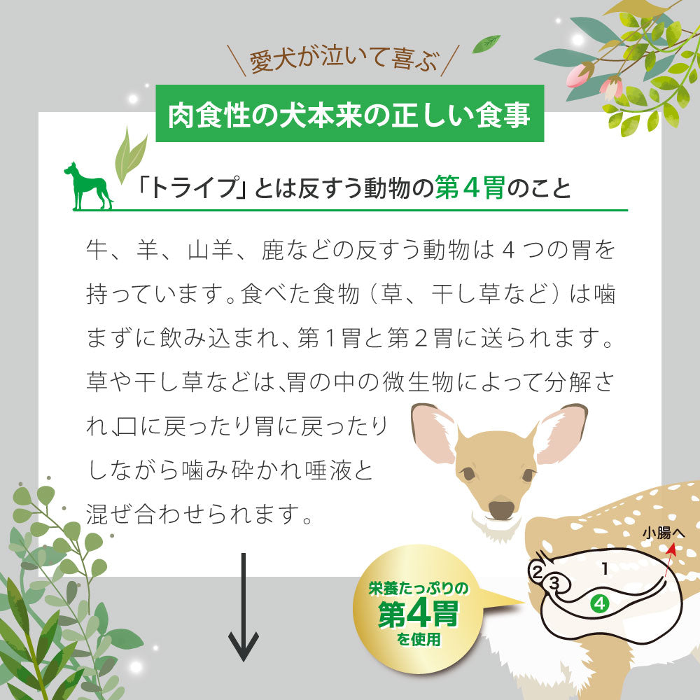 ニュートライプ ドッグフード ウェット ピュア ラム&グリーントライプ 185g×24缶【送料無料】 NUTRIPE 無添加 缶詰 総合栄養食 穀物不使用 犬