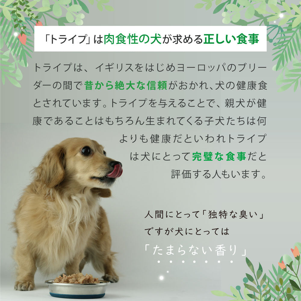 ニュートライプ ドッグフード ウェット ピュア ラム&グリーントライプ 185g×24缶【送料無料】 NUTRIPE 無添加 缶詰 総合栄養食 穀物不使用 犬