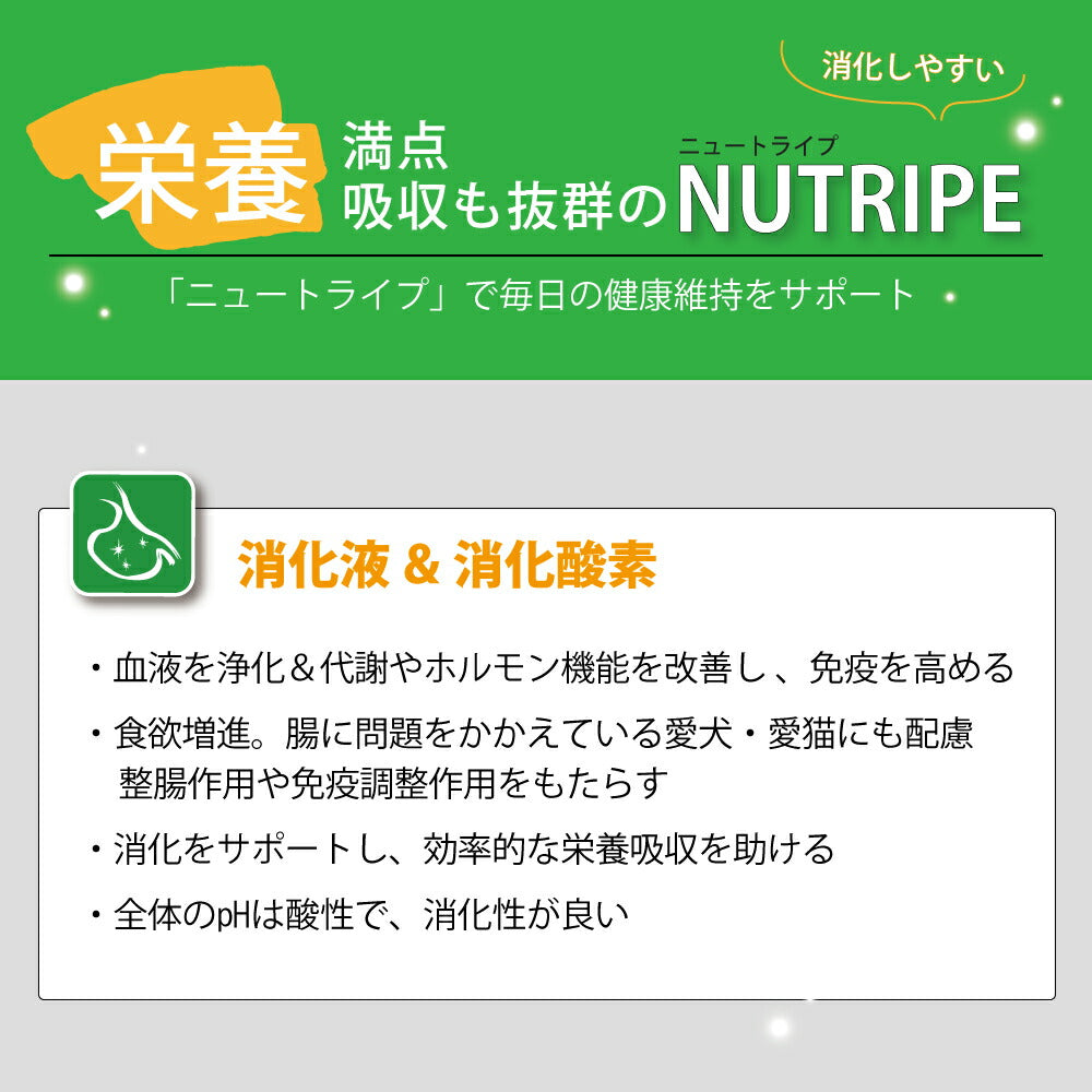 ニュートライプ ドッグフード ウェット ピュア サーモン&グリーントライプ 185g×24缶【送料無料】 NUTRIPE 無添加 缶詰 総合栄養食 穀物不使用 犬
