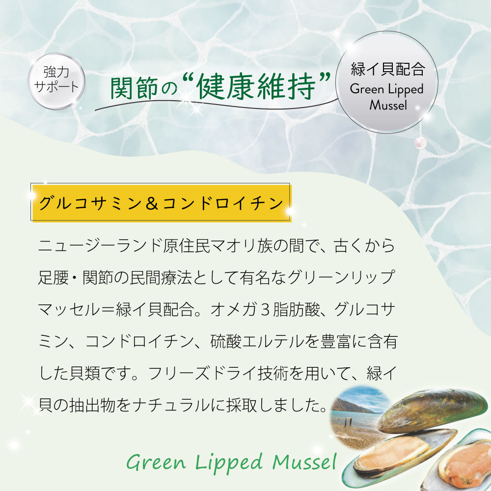 ニュートライプ ドッグフード ウェット ピュア サーモン&グリーントライプ 185g×24缶【送料無料】 NUTRIPE 無添加 缶詰 総合栄養食 穀物不使用 犬