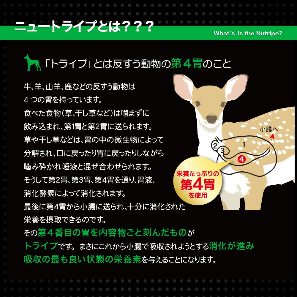 ニュートライプ ドッグフード PURE ゴート&グリーントライプ 95g×24缶【送料無料】【ウェット 缶 無添加 トライプ 】
