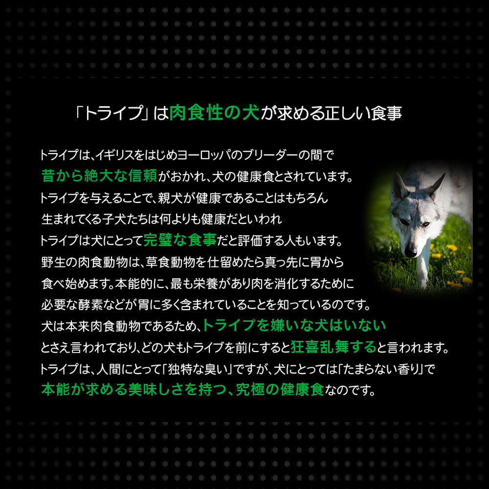 ニュートライプ ドッグフード PURE ゴート&グリーントライプ 95g×24缶【送料無料】【ウェット 缶 無添加 トライプ 】