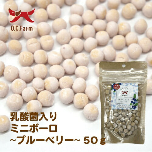 オーシーファーム 乳酸菌ミニボーロ ブルーベリー 50g