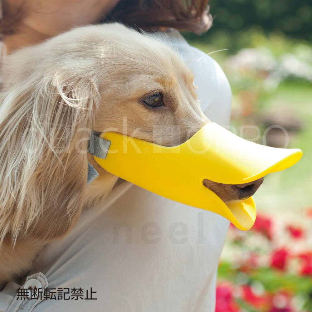 OPPO quack(クアック) Mサイズ しつけ用品 口輪(噛みぐせ・無駄吠え防止)/エリザベスカラー