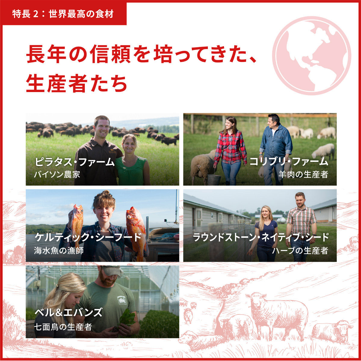 オリジン Orijen ドッグフード パピー 全犬種 子犬用 穀物不使用 2kg【送料無料】 正規品 無添加 グレインフリー