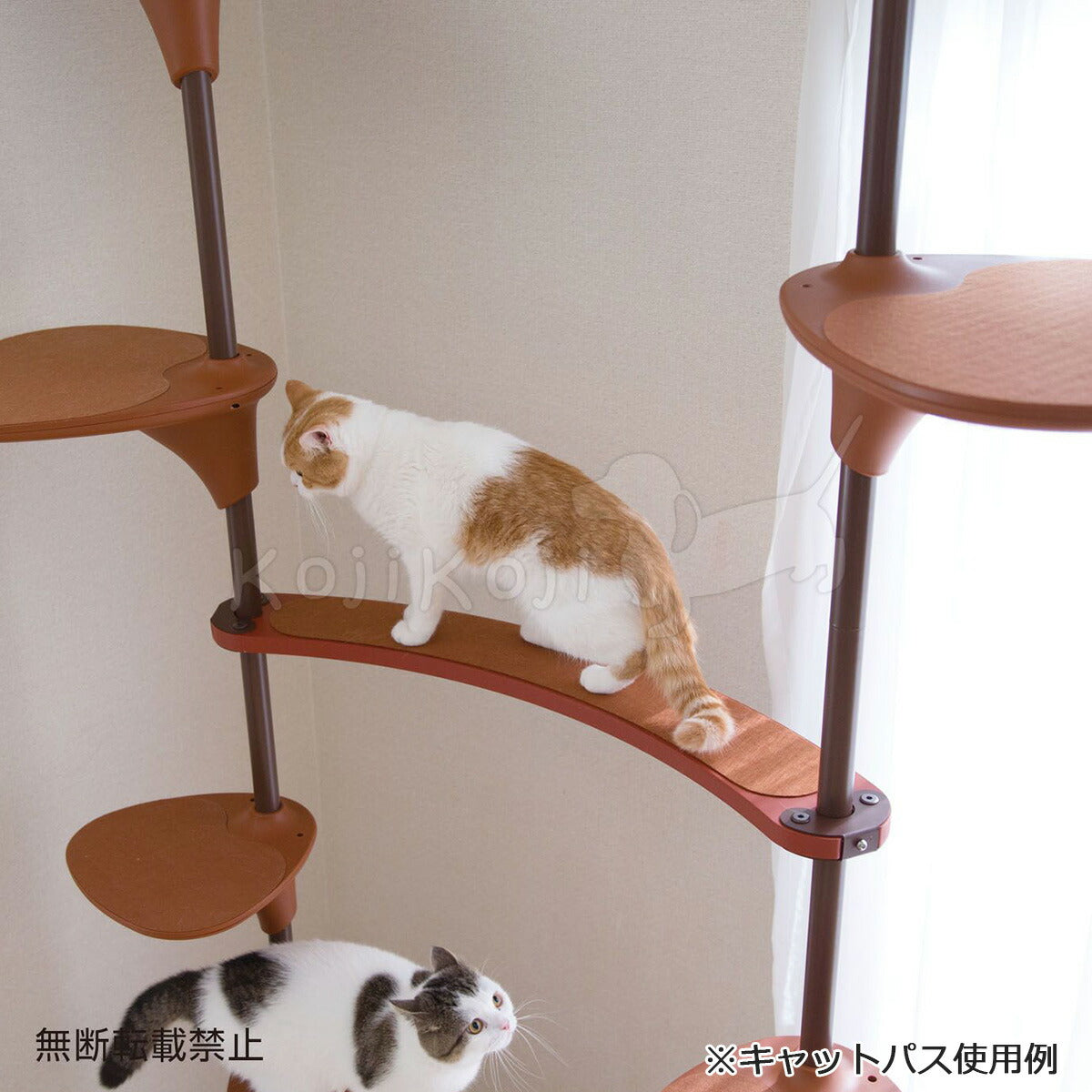 オッポ(OPPO) キャットフォレスト キャットパス ホワイト 4904771110035