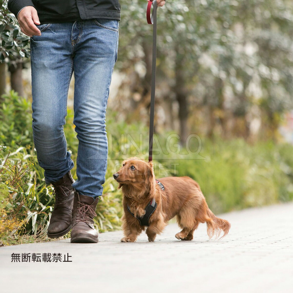 オッポ OPPO ツナゴ TUNAGO ダブルプレミアムカラー Double Premium CollarDobP Collar M ブルー/ピンク
