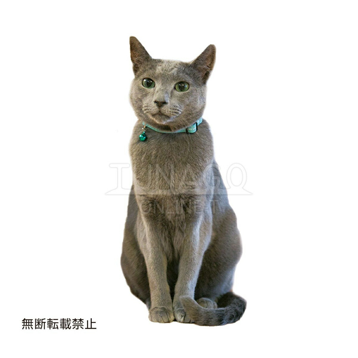 オッポ OPPO ツナゴ TUNAGO エンビ―キャットカラー ENVY Cat Collar ライン グリーン