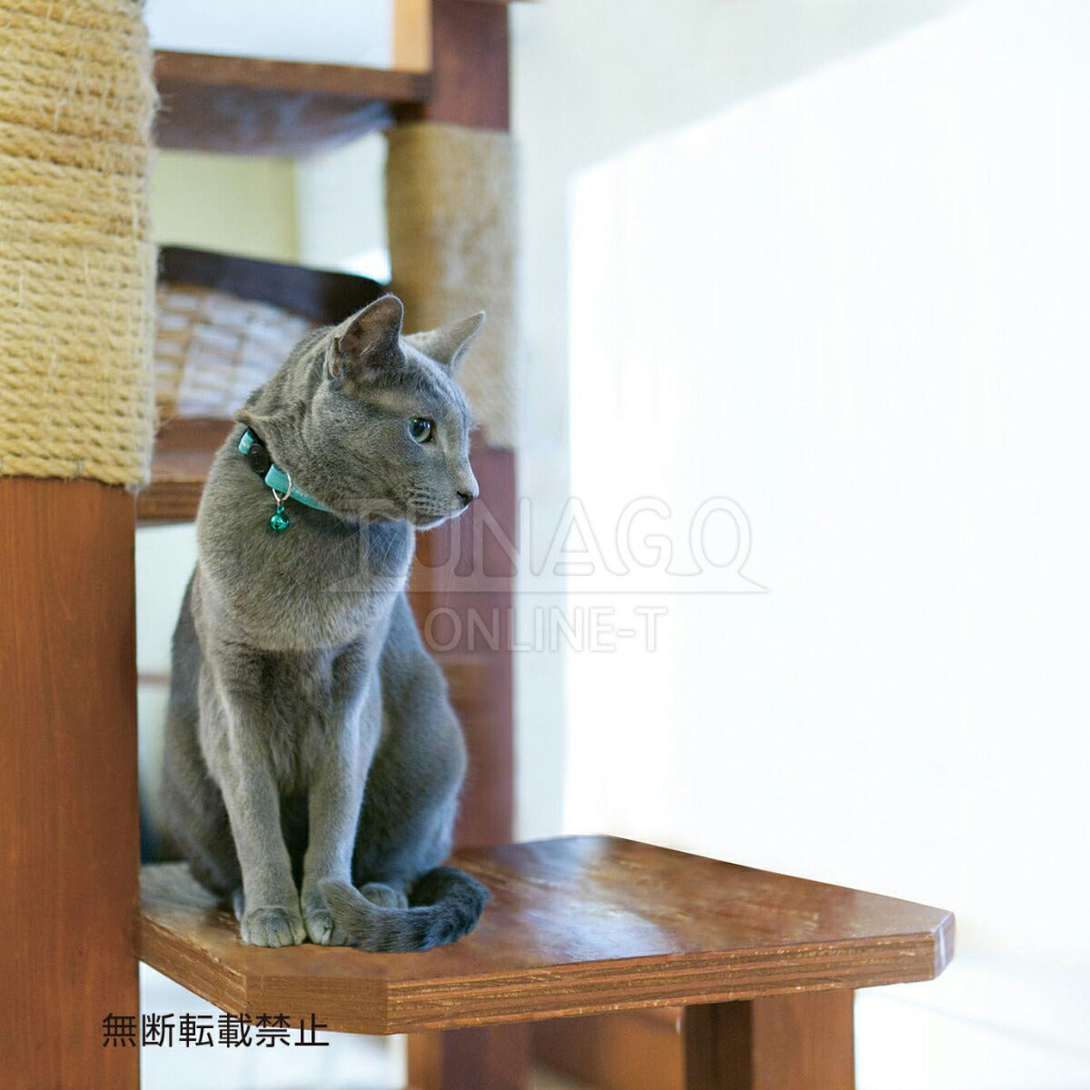 オッポ OPPO ツナゴ TUNAGO エンビ―キャットカラー ENVY Cat Collar ライン グリーン