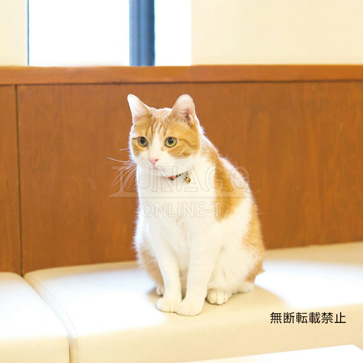 オッポ OPPO ツナゴ TUNAGO エンビ―キャットカラー ENVY Cat Collar ライン グリーン