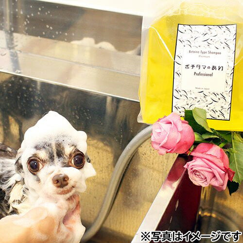 ポチタマのあわ Professional ベルガモット 2000ml