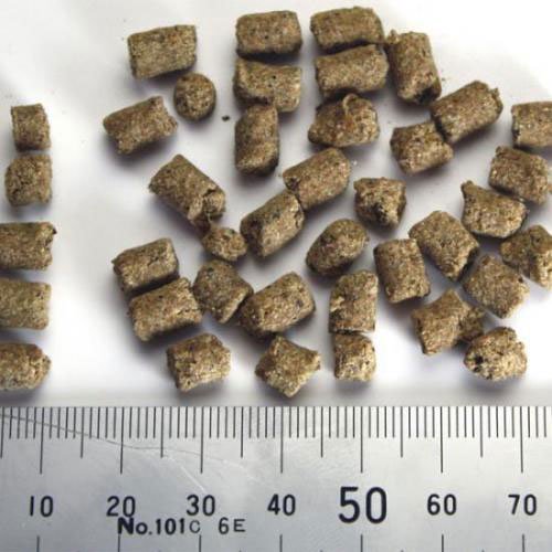 バツグンドッグフード 1kg 犬用品/ペットグッズ/ペット用品