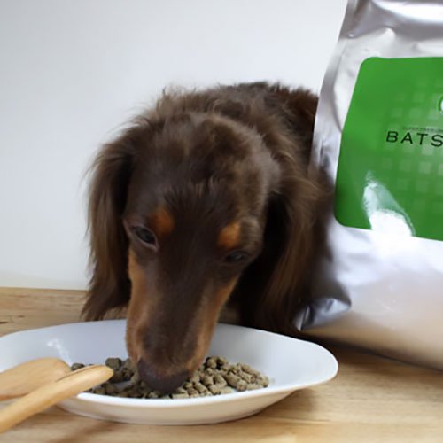 バツグンドッグフード 1kg 犬用品/ペットグッズ/ペット用品
