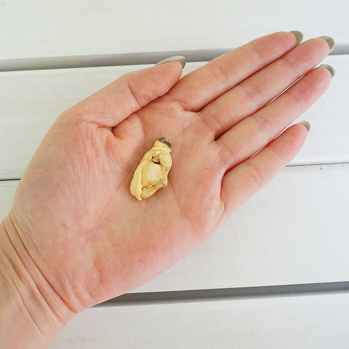ピース 猫用 フリーズドライシリーズ あさり 9g 無添加 おやつ ナチュラル 天然 猫 キャット トリーツ トッピング 手作りごはん