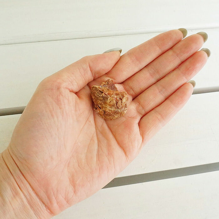 ピース 猫用 フリーズドライシリーズ 鶏レバー 15g 無添加 おやつ ナチュラル 天然 猫 キャット トリーツ トッピング 手作りごはん