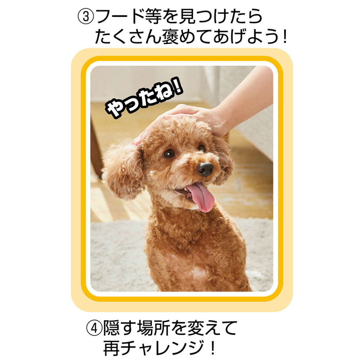 ペティオ ほじって遊ぶ!アツアツたこ焼き 犬用 おもちゃ 知育トイ ノーズワーク