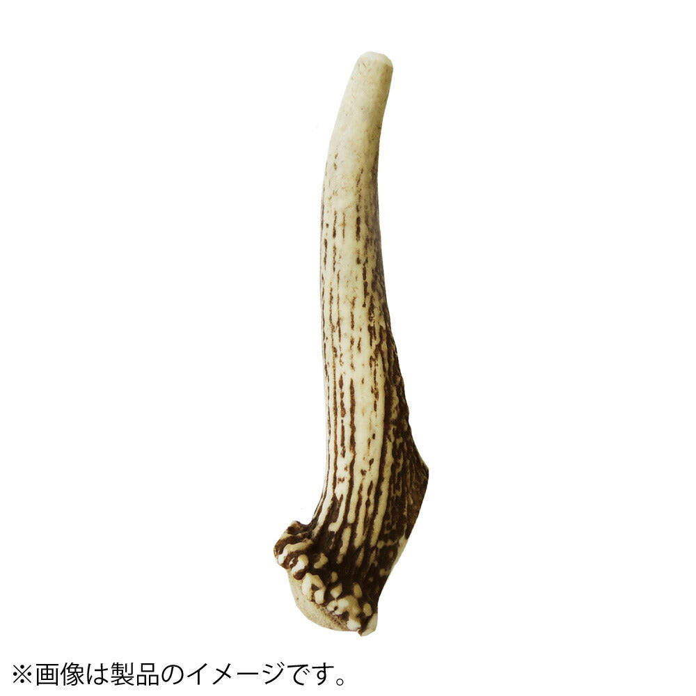 ペッツルート ベニソンアントラー M 犬用おもちゃ 噛む 鹿の角