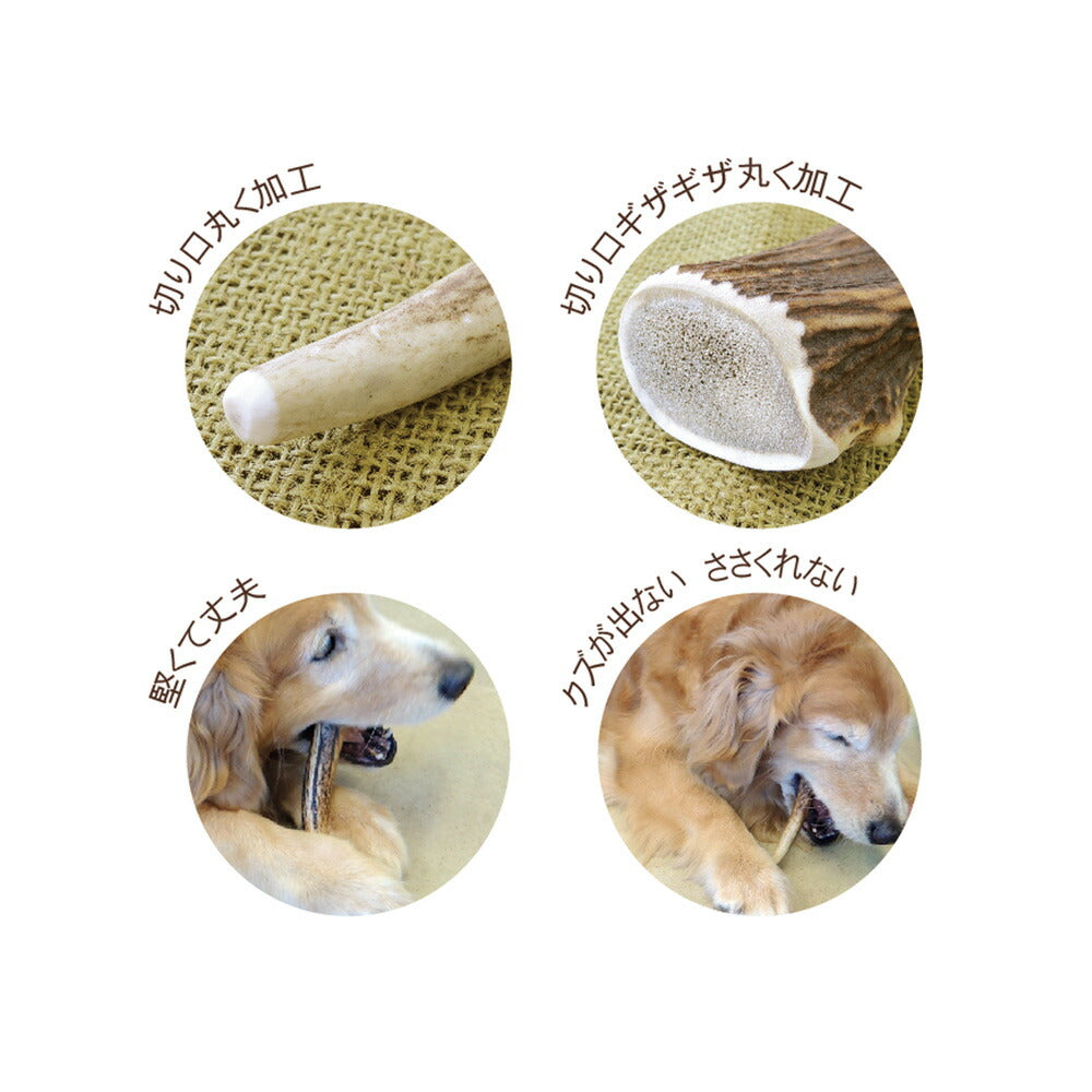 ペッツルート ベニソンアントラー M 犬用おもちゃ 噛む 鹿の角