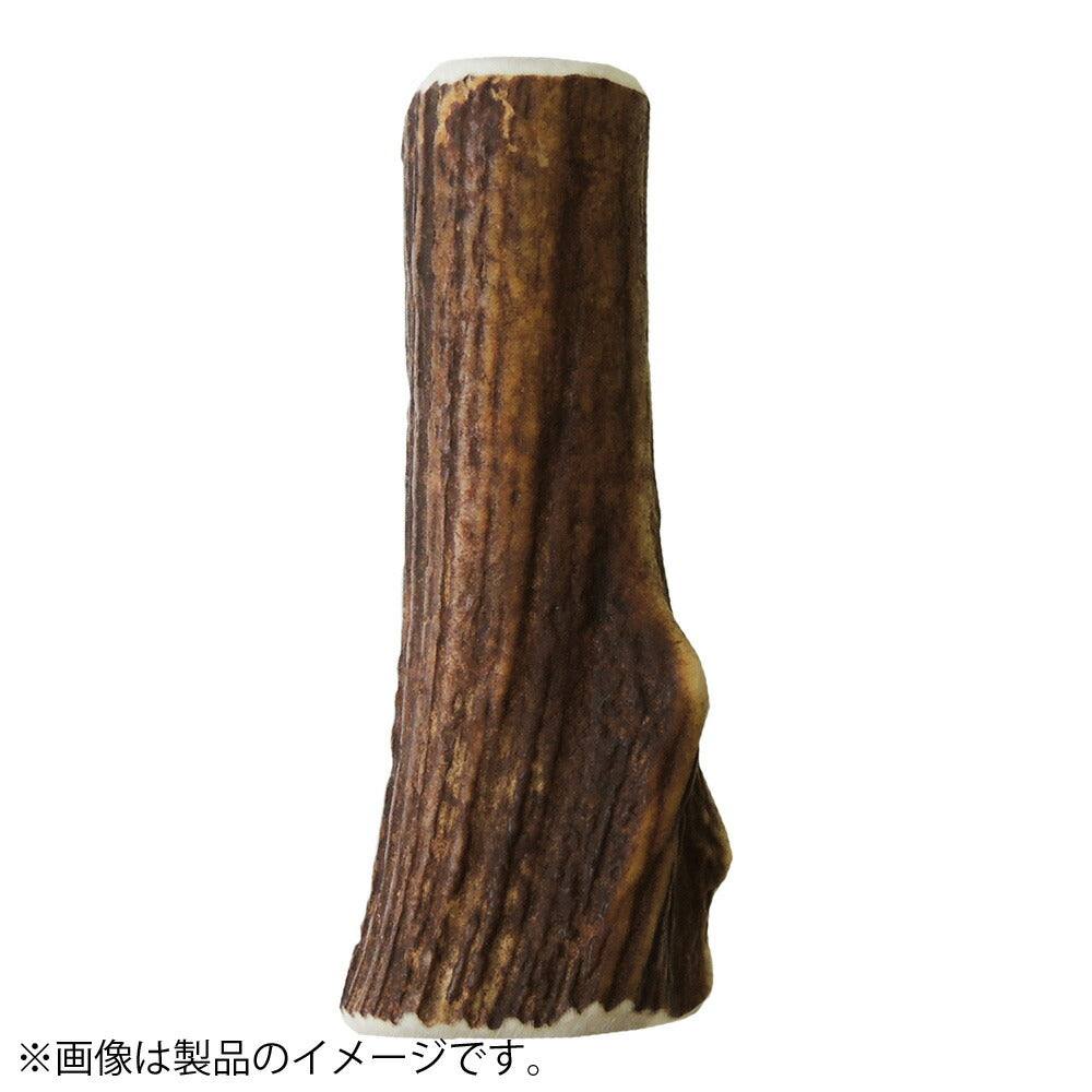 ペッツルート ベニソンアントラー LL 犬用おもちゃ 噛む 鹿の角