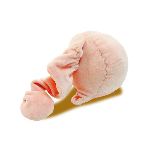 ペッツルート 誰のしっぽTOY ブタ