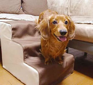 ソフトステップ 3段 犬用品/猫用品/ペットグッズ/ペット用品