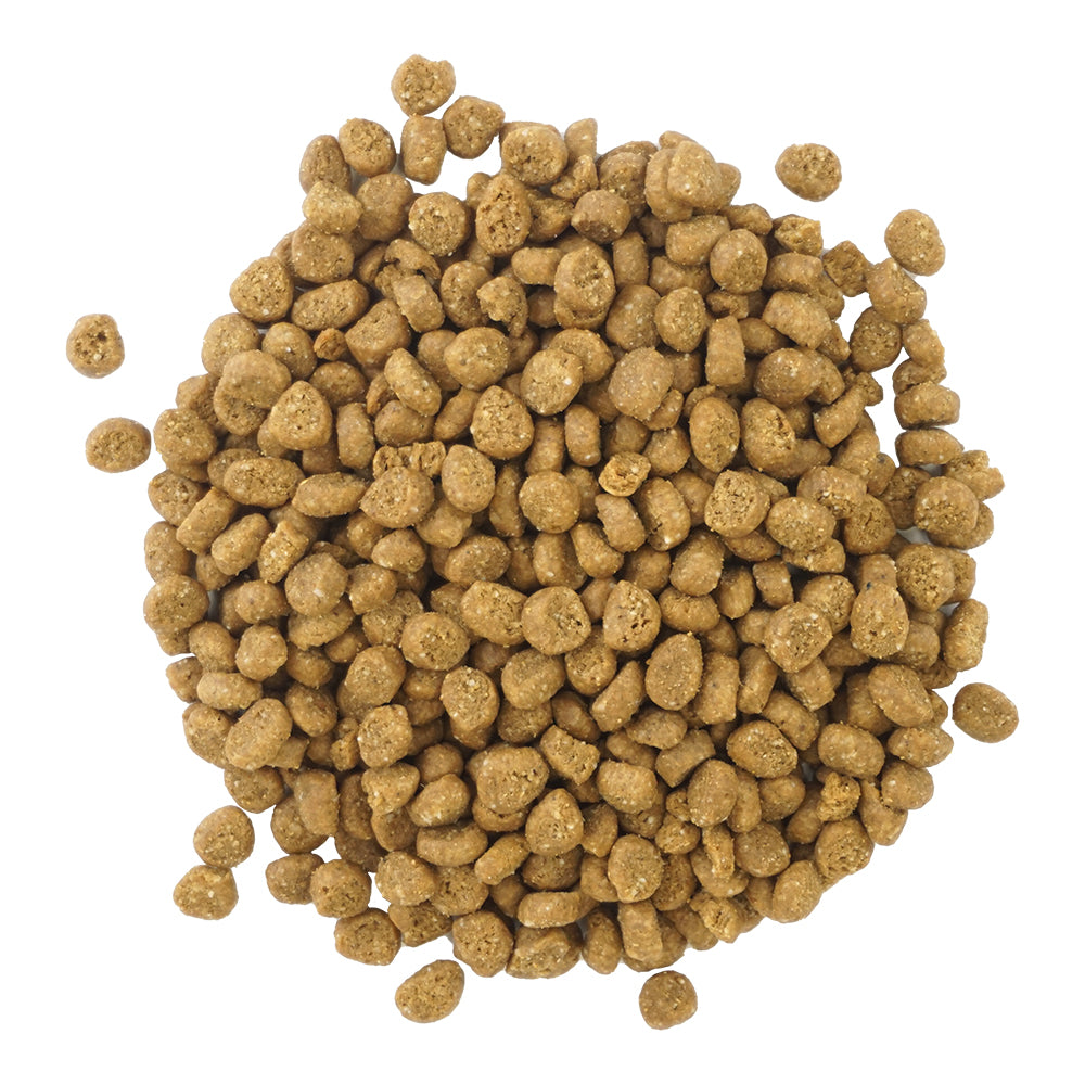 カントリーロード プレシャスサポート F.L.U.T.D.ケア用 食事療法食 1袋 (650g) 2sp_120720_a SBZcou1208 猫用品/ねこグッズ/ペットグッズ/ペット用品 ※クーポン対象外