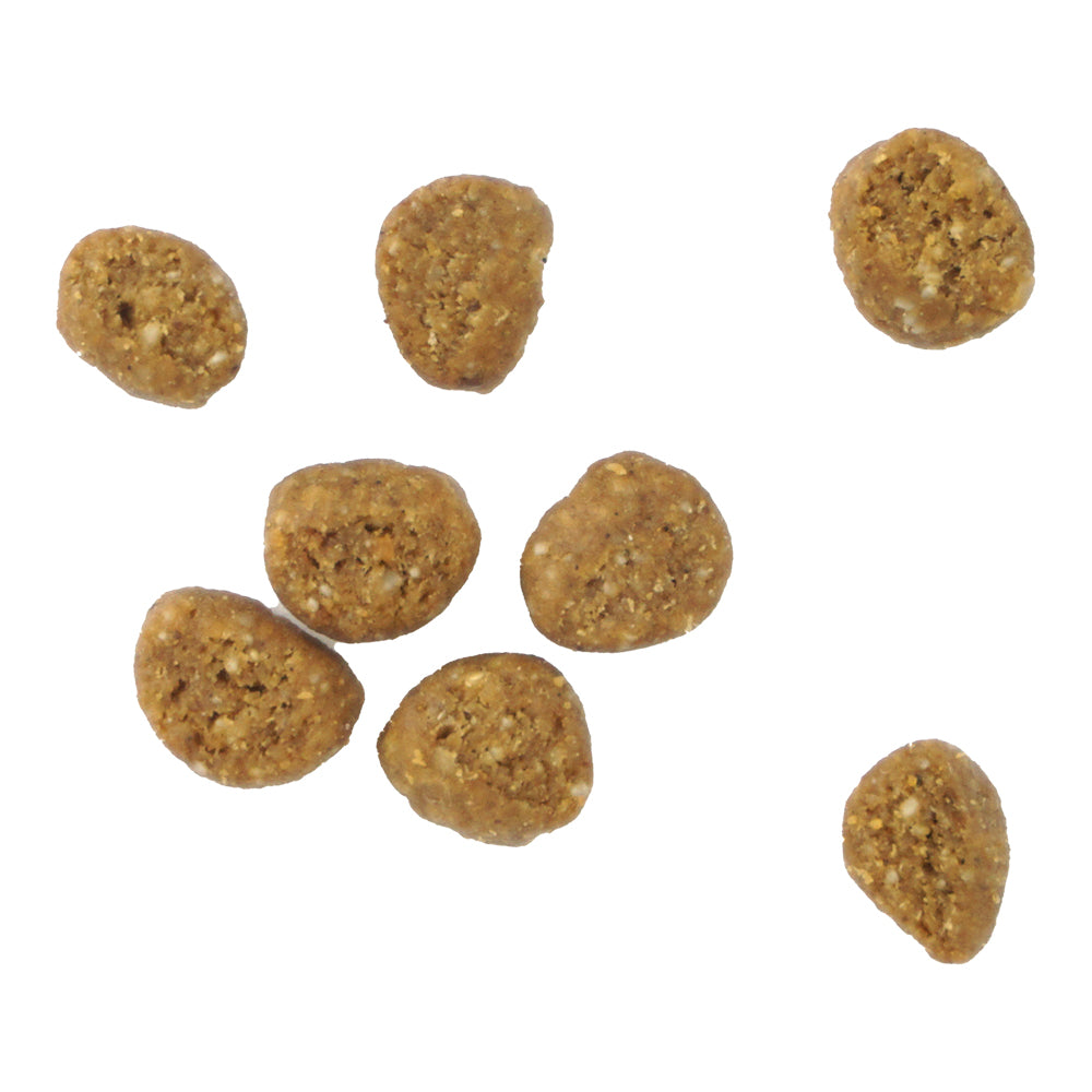 カントリーロード プレシャスサポート F.L.U.T.D.ケア用 食事療法食 1袋 (650g) 2sp_120720_a SBZcou1208 猫用品/ねこグッズ/ペットグッズ/ペット用品 ※クーポン対象外