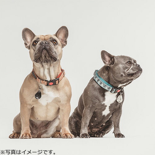 TICKLESS チックレス PET ブラック 虫除け 薬品不使用 ノミ・ダニ対策 安全 超音波
