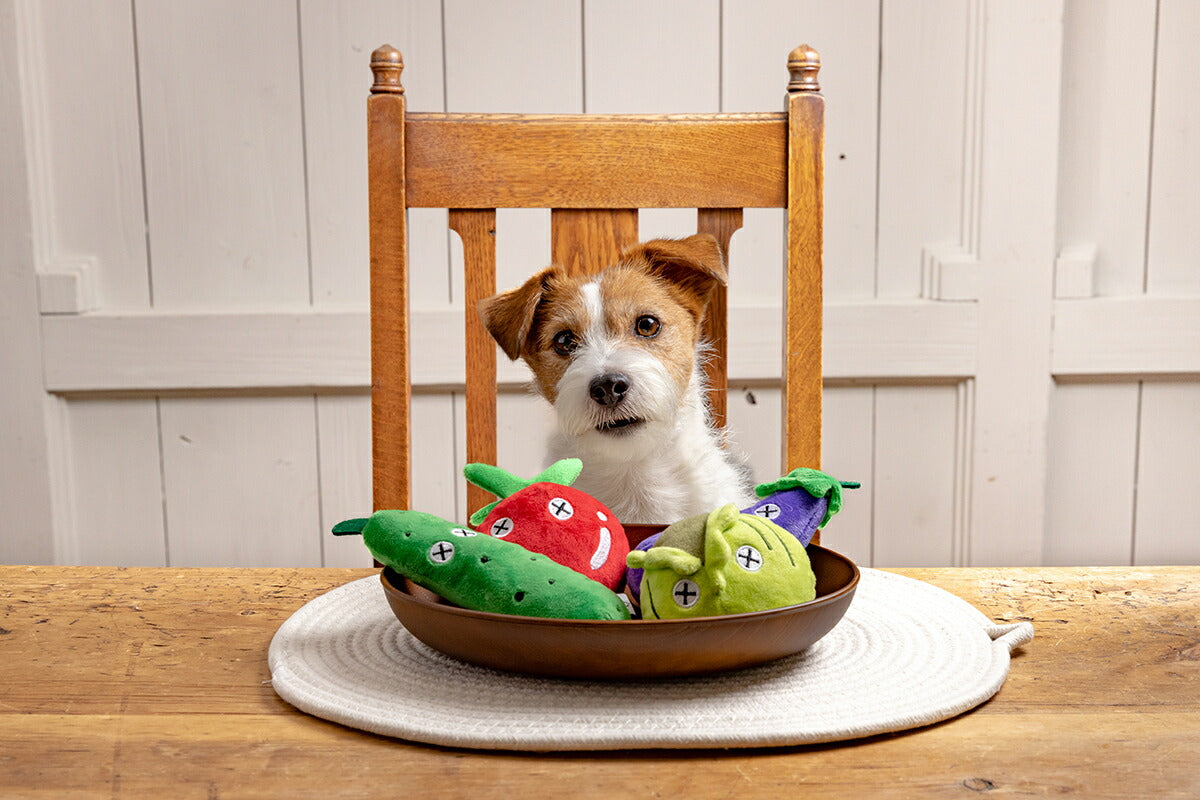 ファッド FAD+ ファーム・プラッシュトイ キュウリ 犬 おもちゃ ぬいぐるみ 音が鳴る