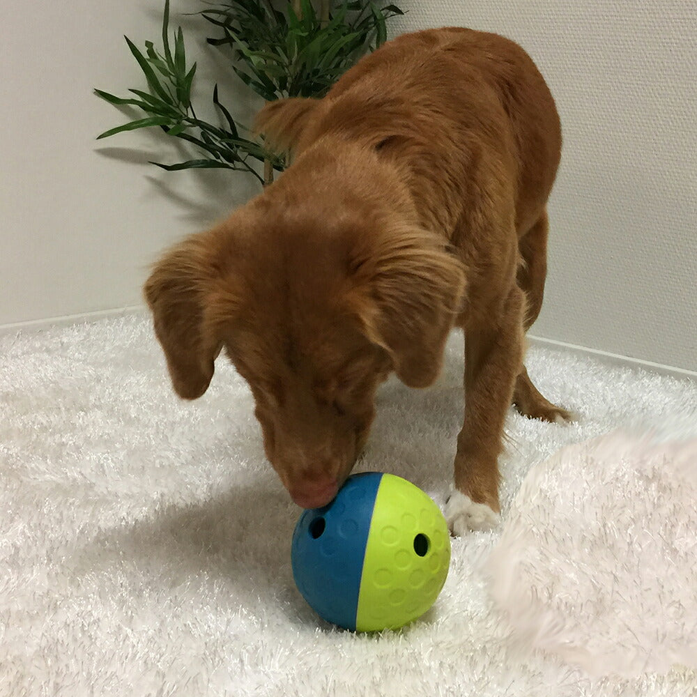 ニーナ オットソン 知育トイ トリーツ タンブルボール S ブルー犬 猫 ノーズワークトイ