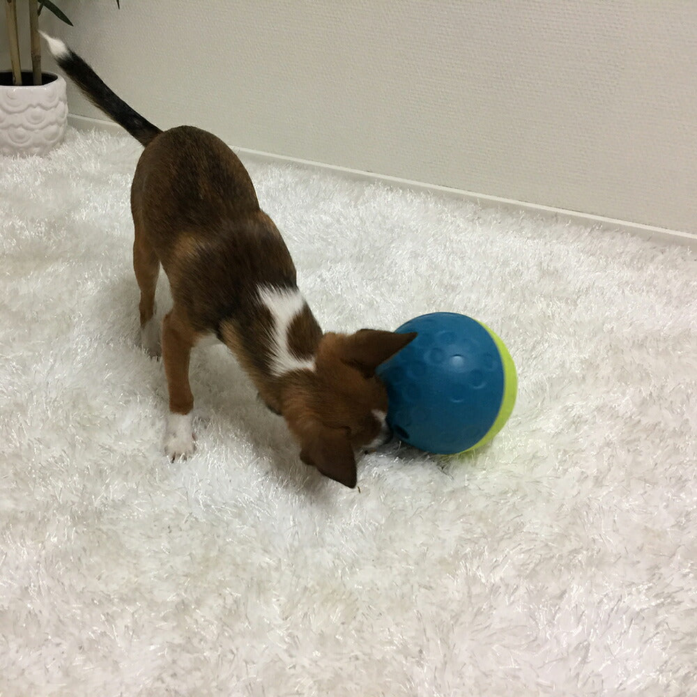 ニーナ オットソン 知育トイ トリーツ タンブルボール S ブルー犬 猫 ノーズワークトイ