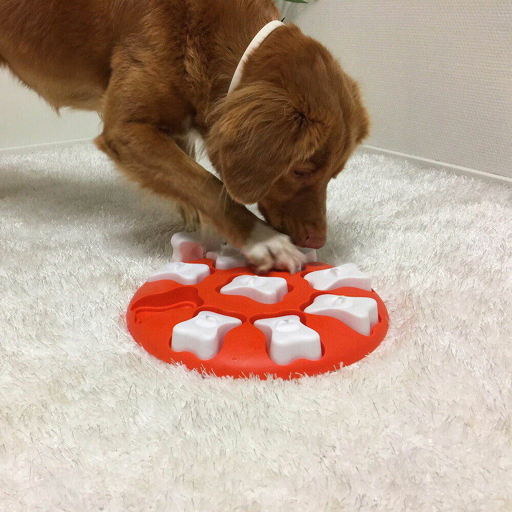 ニーナ オットソン 知育トイ トリーツ ゲーム サークル犬 猫 ノーズワークトイ