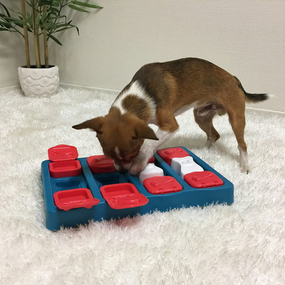 ニーナ オットソン 知育トイ トリーツ ゲーム ブリック犬 猫 ノーズワークトイ