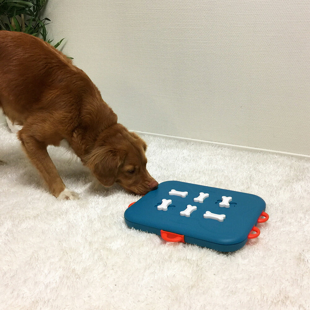 ニーナ オットソン 知育トイ トリーツ ゲーム カジノ 犬 猫 ノーズワークトイ