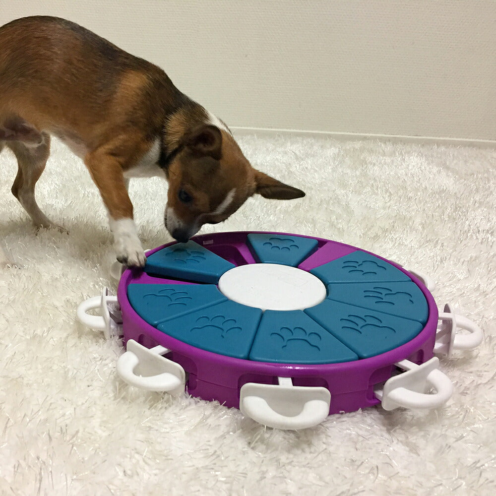ニーナ オットソン 知育トイ トリーツ ゲーム ツイスター犬 猫 ノーズワークトイ