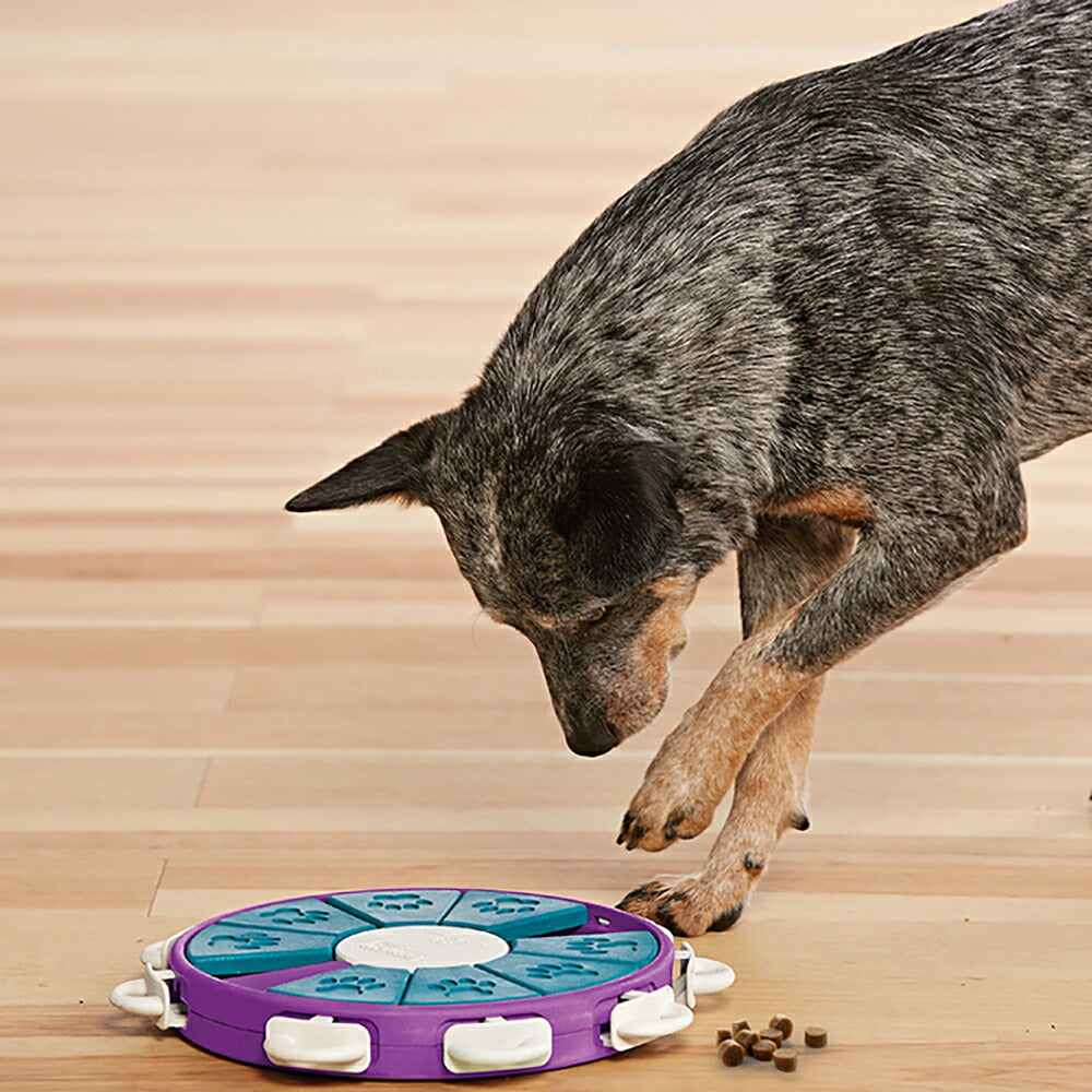 ニーナ オットソン 知育トイ トリーツ ゲーム ツイスター犬 猫 ノーズワークトイ