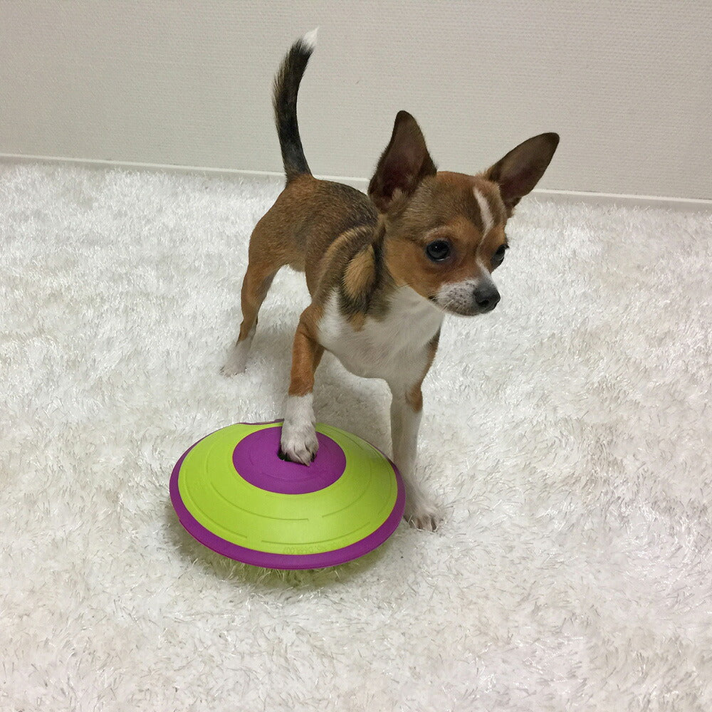ニーナ オットソン 知育トイ トリーツ メイズ グリーン&パープル犬 猫 ノーズワークトイ