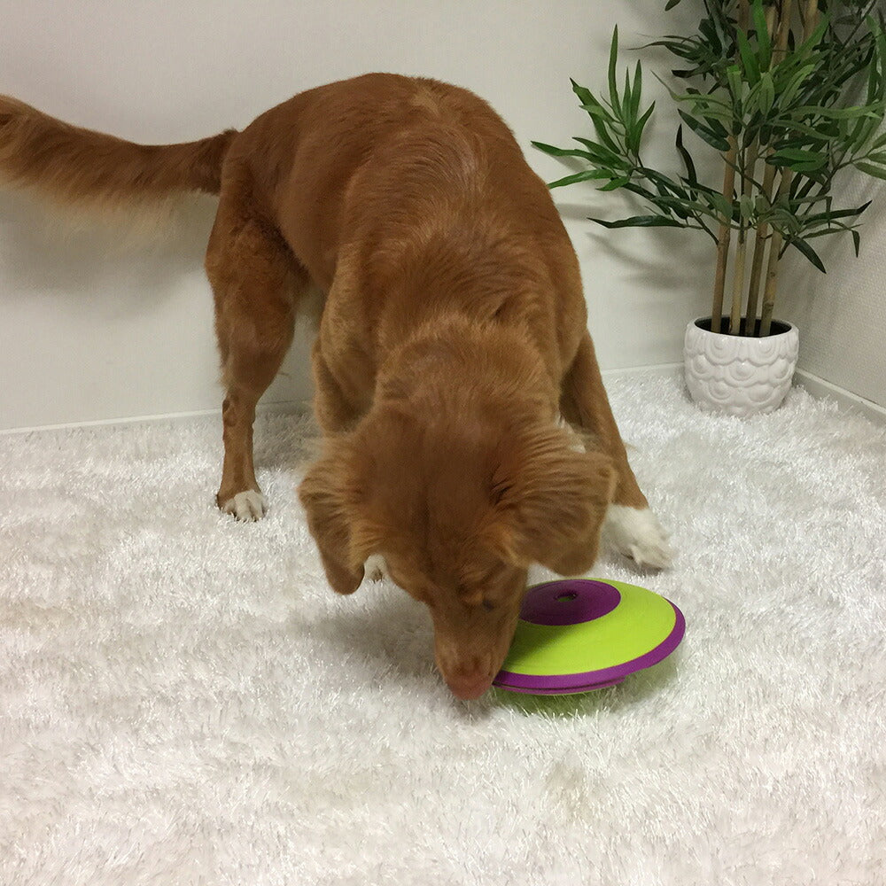 ニーナ オットソン 知育トイ トリーツ メイズ グリーン&パープル犬 猫 ノーズワークトイ