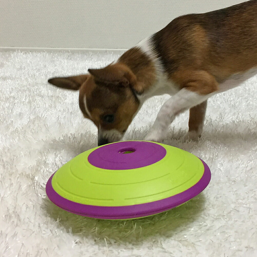 ニーナ オットソン 知育トイ トリーツ メイズ グリーン&パープル犬 猫 ノーズワークトイ