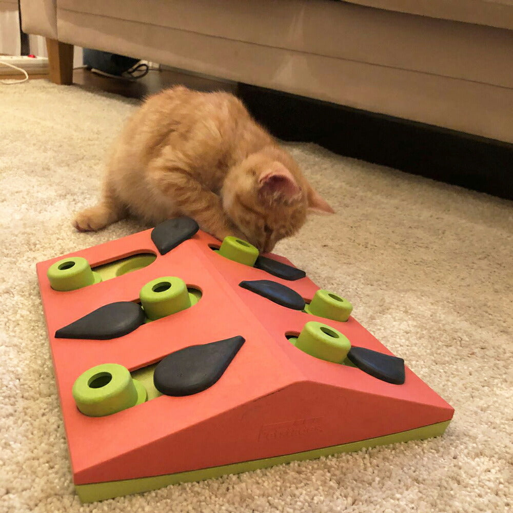 ニーナ オットソン 知育トイ トリーツ ゲーム ウォーターメロン【送料無料】犬 猫 ノーズワークトイ