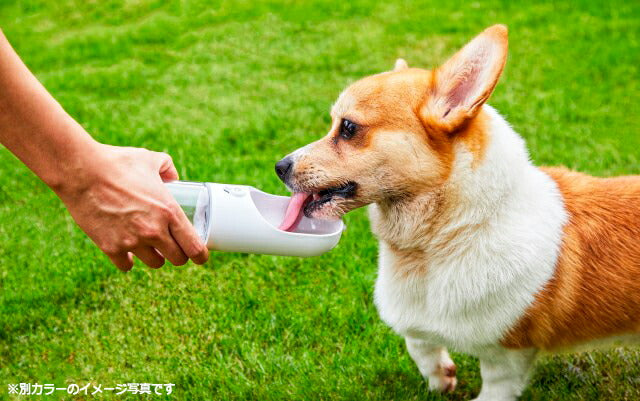 ペットキット PETKIT ワンタッチ・ウォーターボトル ブルー 300ml 犬 水筒 給水器 携帯 抗菌 お散歩 車内 アウトドア おでかけ 持ち運び 水分補給 ロック機能付き