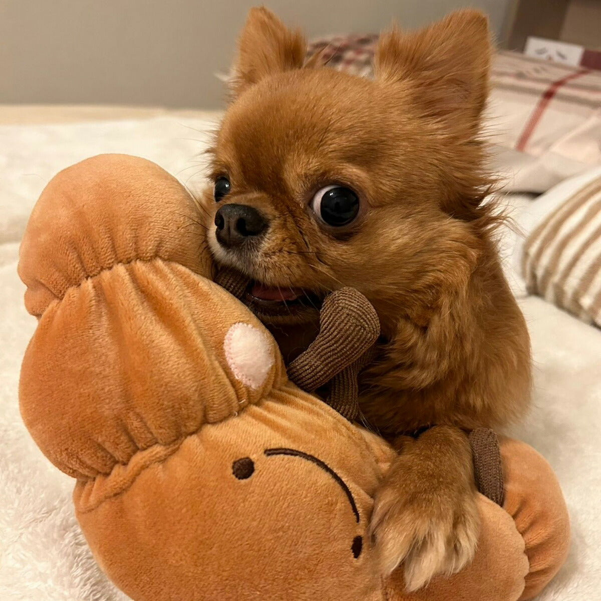 ペットプロ 犬用おもちゃ ぶんぶんはむはむ クロワッサン