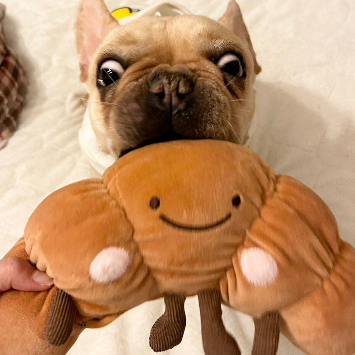 ペットプロ 犬用おもちゃ ぶんぶんはむはむ クロワッサン
